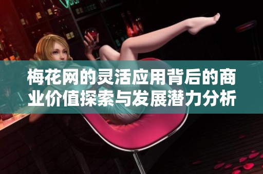 梅花网的灵活应用背后的商业价值探索与发展潜力分析