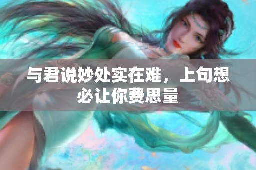 与君说妙处实在难，上句想必让你费思量