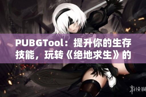 PUBGTool：提升你的生存技能，玩转《绝地求生》的绝佳助手
