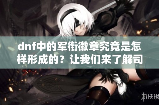 dnf中的军衔徽章究竟是怎样形成的？让我们来了解司令官的神秘身份。
