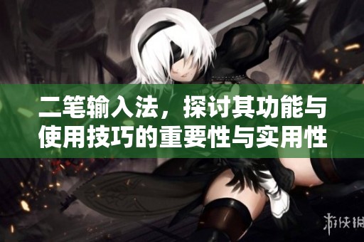 二笔输入法，探讨其功能与使用技巧的重要性与实用性