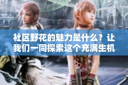 社区野花的魅力是什么？让我们一同探索这个充满生机的地方