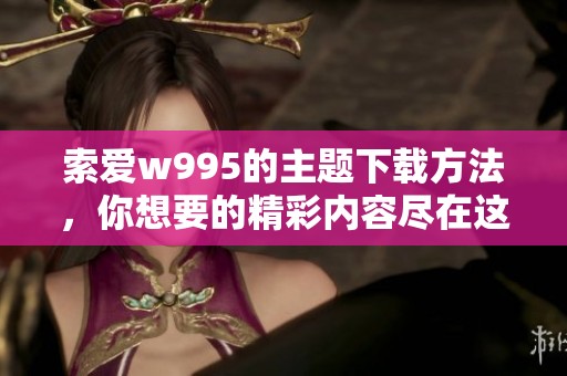 索爱w995的主题下载方法，你想要的精彩内容尽在这里！