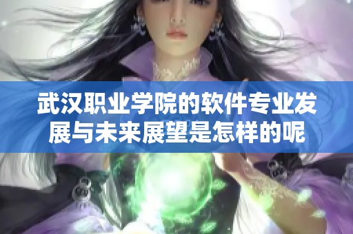 武汉职业学院的软件专业发展与未来展望是怎样的呢