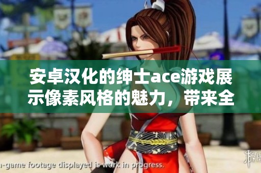 安卓汉化的绅士ace游戏展示像素风格的魅力，带来全新的游戏体验
