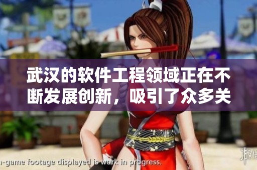 武汉的软件工程领域正在不断发展创新，吸引了众多关注与参与。