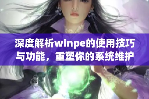 深度解析winpe的使用技巧与功能，重塑你的系统维护体验