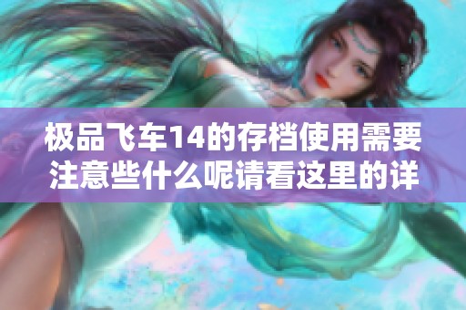 极品飞车14的存档使用需要注意些什么呢请看这里的详细介绍