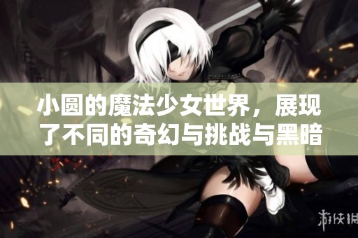 小圆的魔法少女世界，展现了不同的奇幻与挑战与黑暗的命运之战