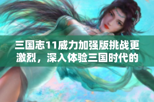 三国志11威力加强版挑战更激烈，深入体验三国时代的传奇与荣耀