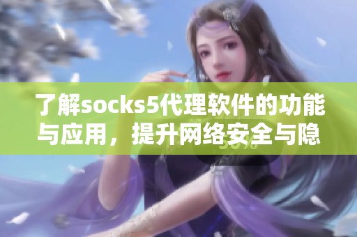 了解socks5代理软件的功能与应用，提升网络安全与隐私保护的技巧