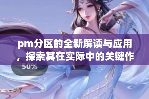 pm分区的全新解读与应用，探索其在实际中的关键作用与意义。