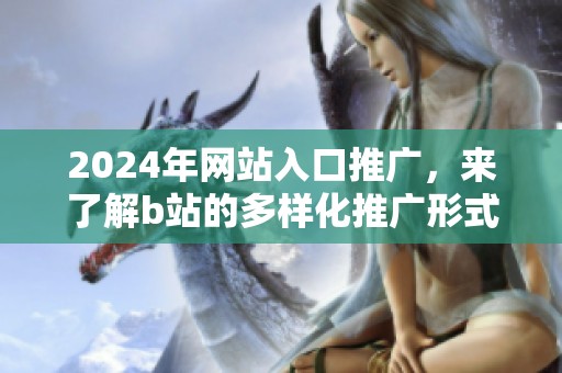 2024年网站入口推广，来了解b站的多样化推广形式！