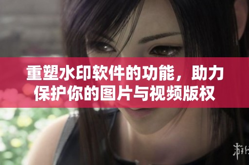 重塑水印软件的功能，助力保护你的图片与视频版权