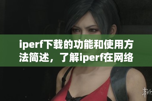 iperf下载的功能和使用方法简述，了解iperf在网络测评中的重要性