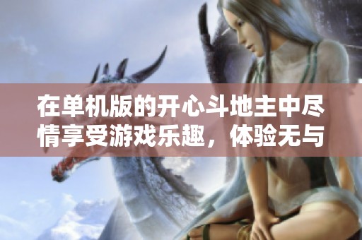 在单机版的开心***中尽情享受游戏乐趣，体验无与伦比的***快乐！