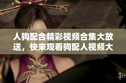 人狗配合精彩视频合集大放送，快来观看狗配人视频大全吧！