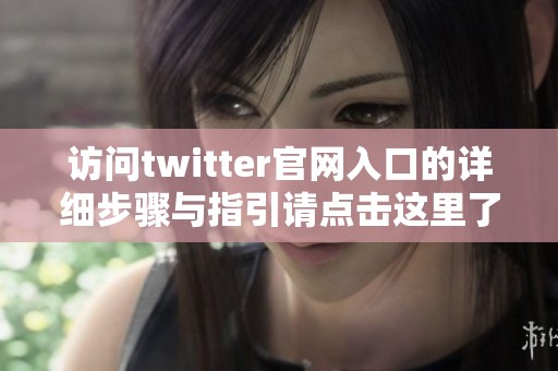 访问twitter官网入口的详细步骤与指引请点击这里了解更多信息