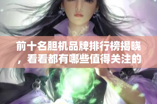 前十名胆机品牌排行榜揭晓，看看都有哪些值得关注的品牌吧