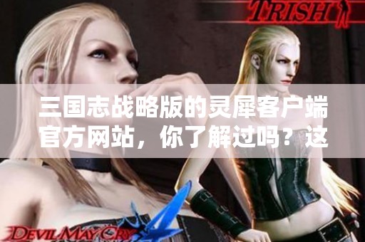三国志战略版的灵犀客户端官方网站，你了解过吗？这里有最新的信息和资源等着你！