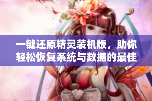 一键还原精灵装机版，助你轻松恢复系统与数据的最佳选择