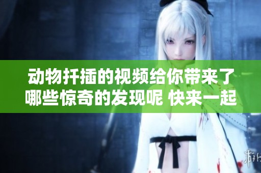 动物扦插的视频给你带来了哪些惊奇的发现呢 快来一起欣赏吧