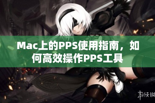 Mac上的PPS使用指南，如何高效操作PPS工具