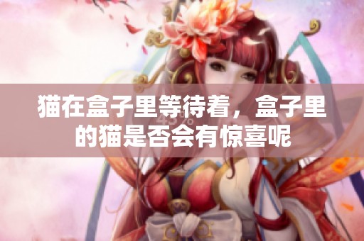 猫在盒子里等待着，盒子里的猫是否会有惊喜呢