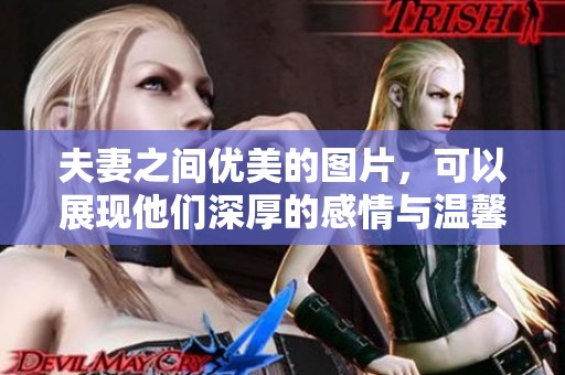 夫妻之间优美的图片，可以展现他们深厚的感情与温馨的瞬间。