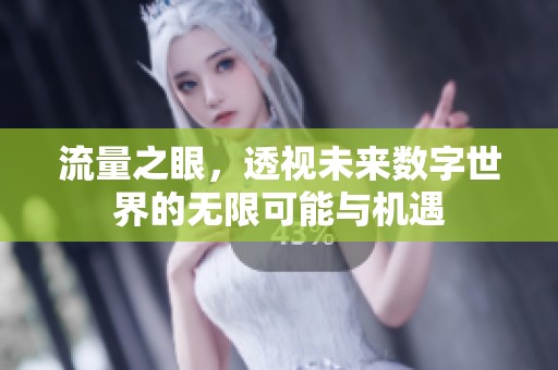 流量之眼，透视未来数字世界的无限可能与机遇