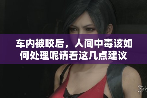 车内被咬后，人间中毒该如何处理呢请看这几点建议