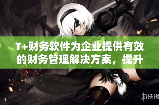 T+财务软件为企业提供有效的财务管理解决方案，提升财务工作效率。