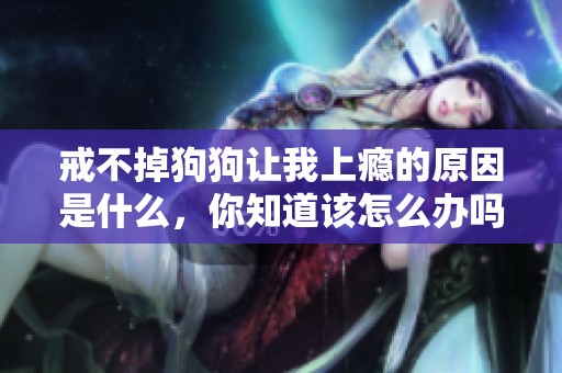戒不掉狗狗让我上瘾的原因是什么，你知道该怎么办吗