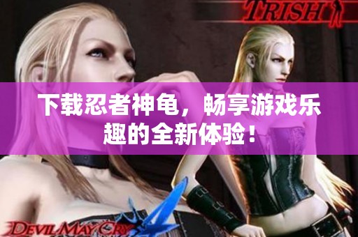 下载忍者神龟，畅享游戏乐趣的全新体验！