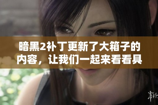 暗黑2补丁更新了大箱子的内容，让我们一起来看看具体的变化吧