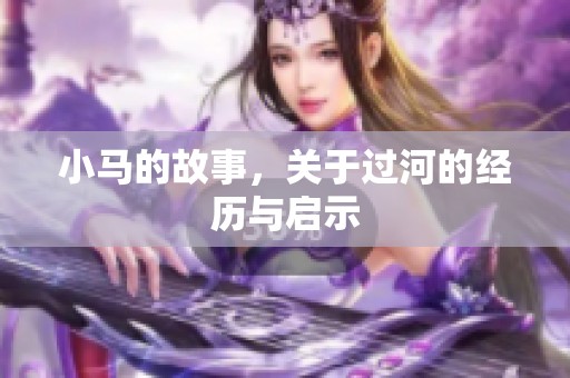 小马的故事，关于过河的经历与启示