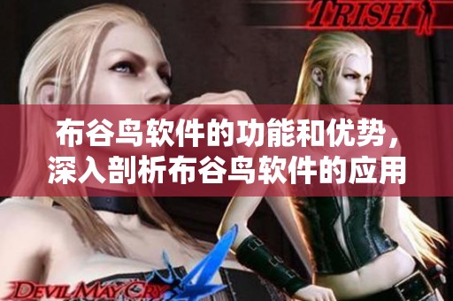 布谷鸟软件的功能和优势，深入剖析布谷鸟软件的应用价值与发展潜力