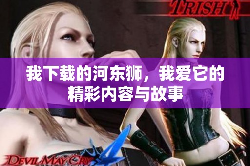 我下载的河东狮，我爱它的精彩内容与故事