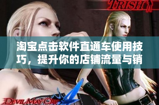 淘宝点击软件直通车使用技巧，提升你的店铺流量与销售额