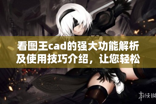 看图王cad的强大功能解析及使用技巧介绍，让您轻松掌握设备绘图欣赏。