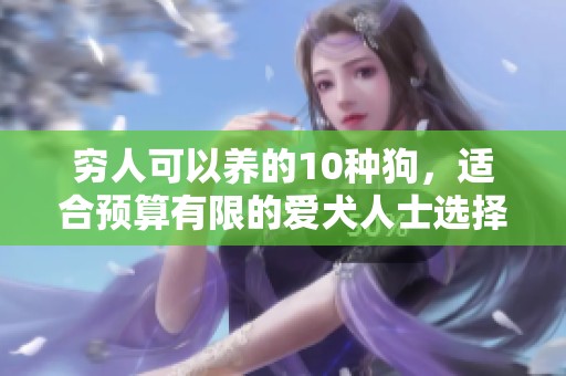 穷人可以养的10种狗，适合预算有限的爱犬人士选择