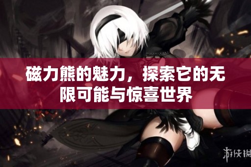 磁力熊的魅力，探索它的无限可能与惊喜世界