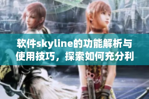 软件skyline的功能解析与使用技巧，探索如何充分利用skyline软件
