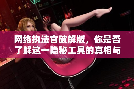 网络执法官破解版，你是否了解这一隐秘工具的真相与使用方法？