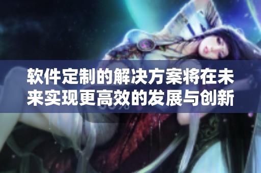 软件定制的解决方案将在未来实现更高效的发展与创新