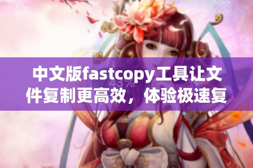 中文版fastcopy工具让文件复制更高效，体验极速复制的乐趣与便捷。