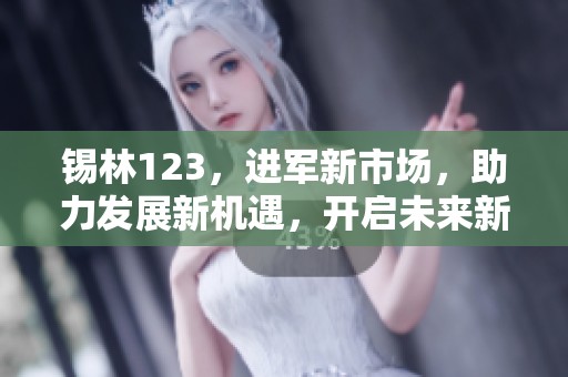 锡林123，进军新市场，助力发展新机遇，开启未来新篇章