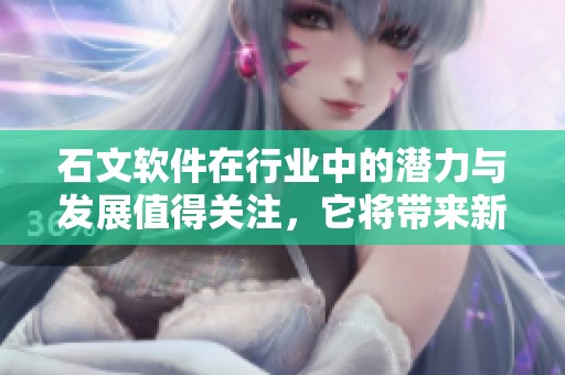 石文软件在行业中的潜力与发展值得关注，它将带来新的机遇和挑战