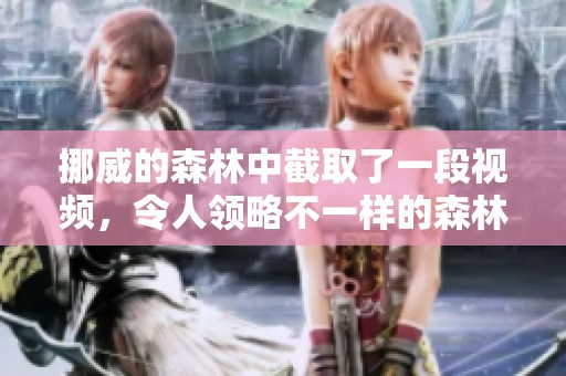 挪威的森林中截取了一段视频，令人领略不一样的森林之美