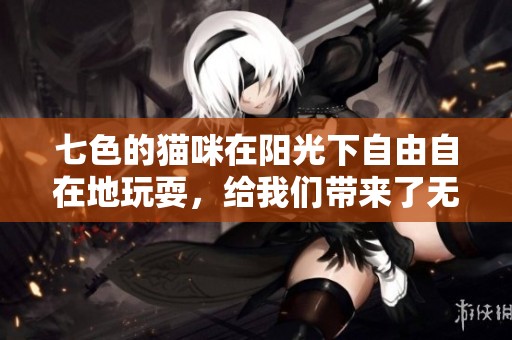 七色的猫咪在阳光下自由自在地玩耍，给我们带来了无限的欢乐与惊喜。